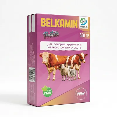 Belkamin