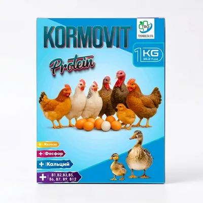 Kormovit tovuq