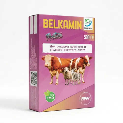 Belkamin